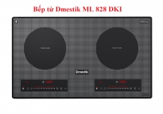 bep tu dmestik ml 828 dki
